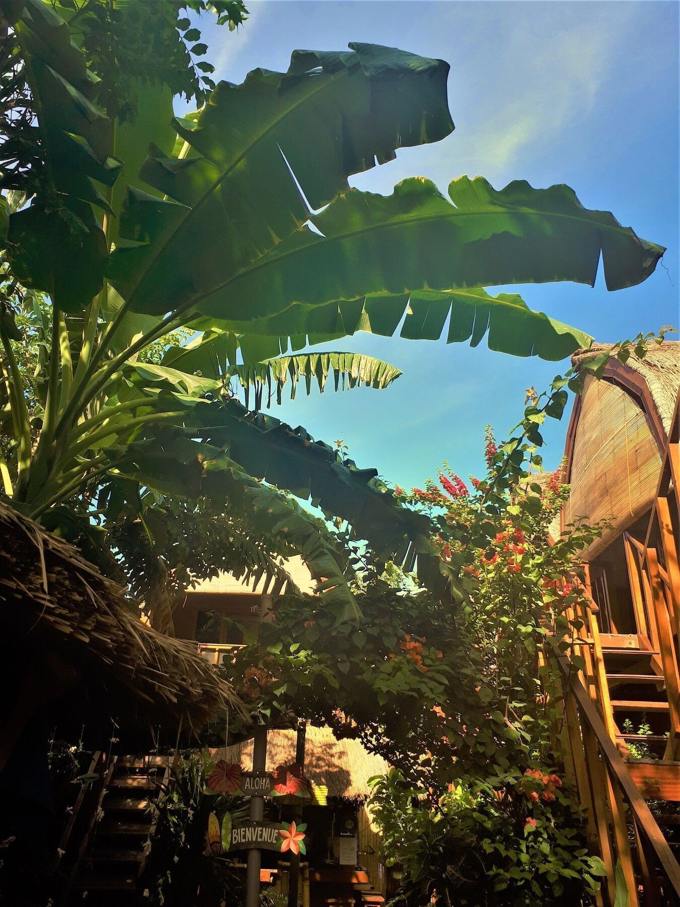 Good Vibes Bungalows Quần đảo Gili Ngoại thất bức ảnh