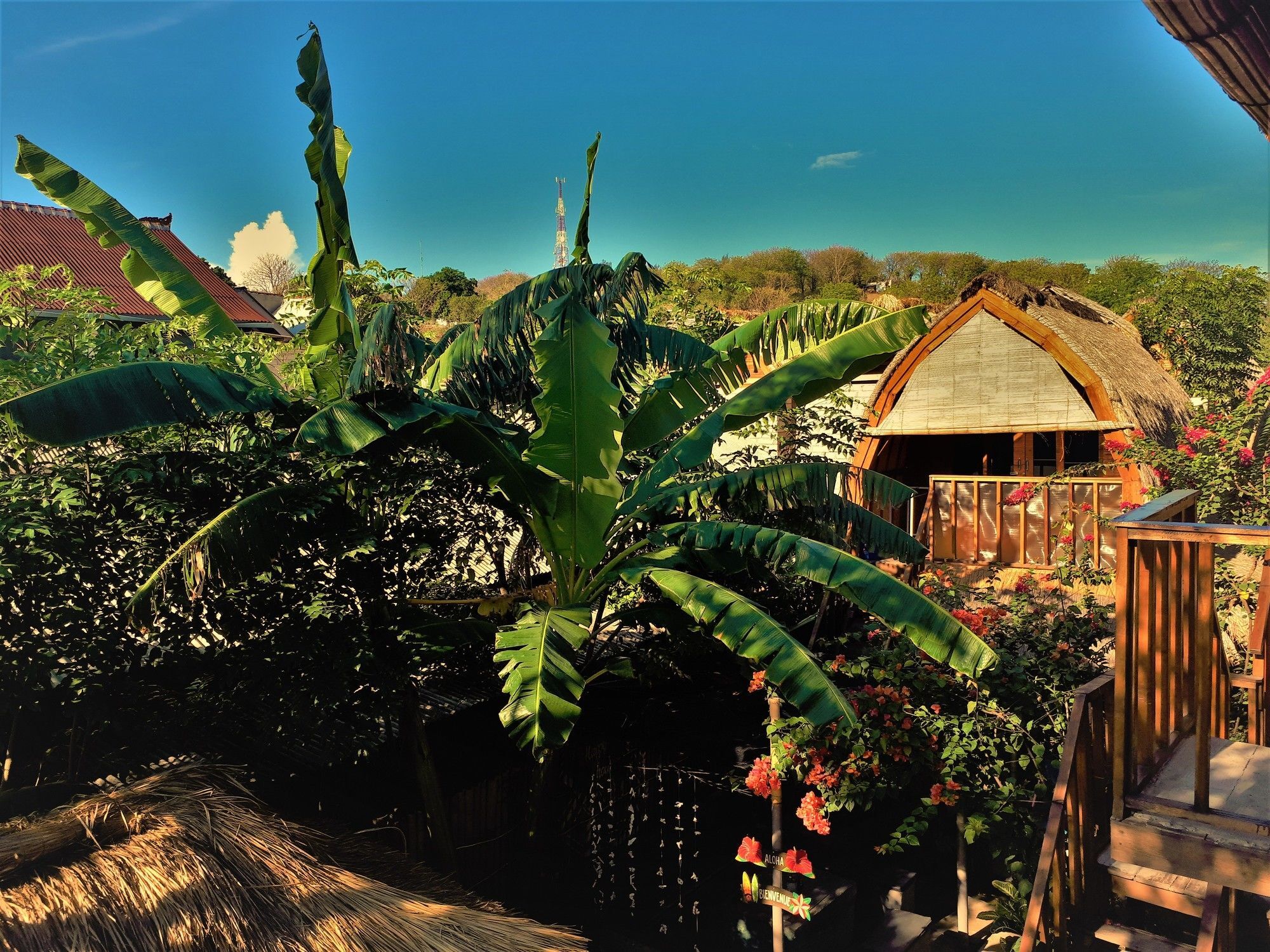 Good Vibes Bungalows Quần đảo Gili Ngoại thất bức ảnh